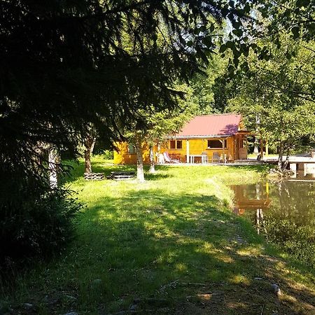 Insolite Chalet De Peche Serenite - Bien Etre Ban-sur-Meurthe-Clefcy Exteriör bild