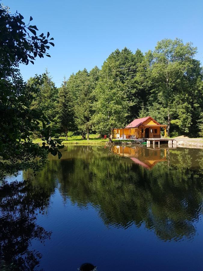 Insolite Chalet De Peche Serenite - Bien Etre Ban-sur-Meurthe-Clefcy Exteriör bild