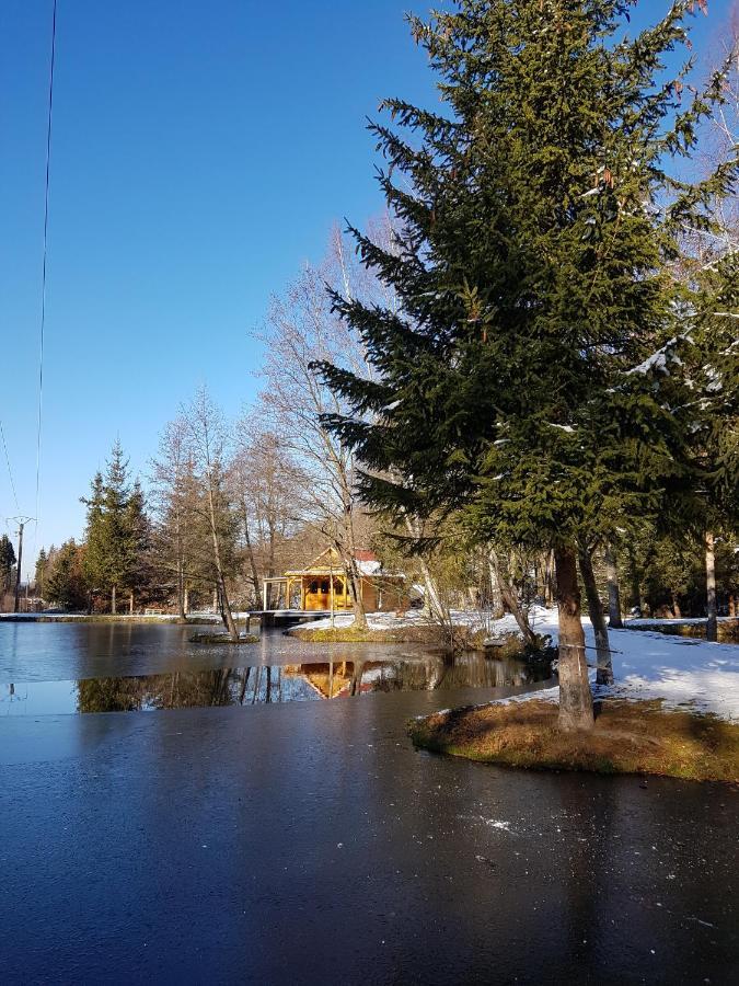 Insolite Chalet De Peche Serenite - Bien Etre Ban-sur-Meurthe-Clefcy Exteriör bild