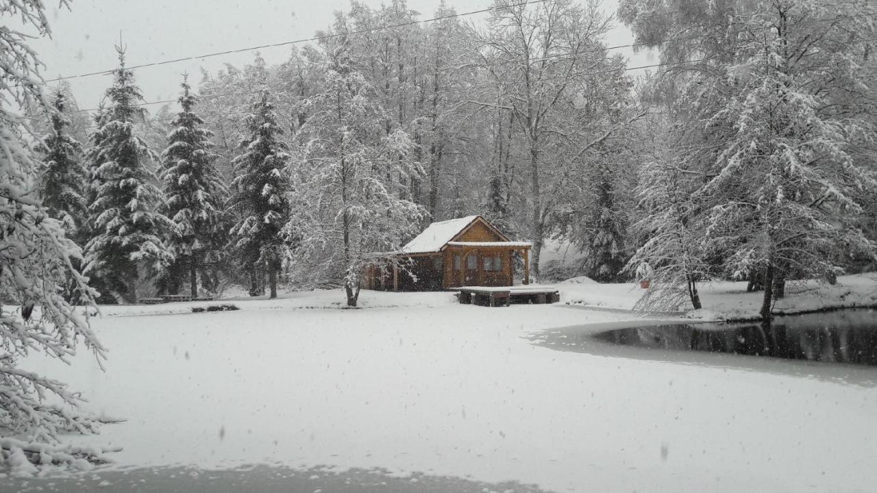 Insolite Chalet De Peche Serenite - Bien Etre Ban-sur-Meurthe-Clefcy Exteriör bild