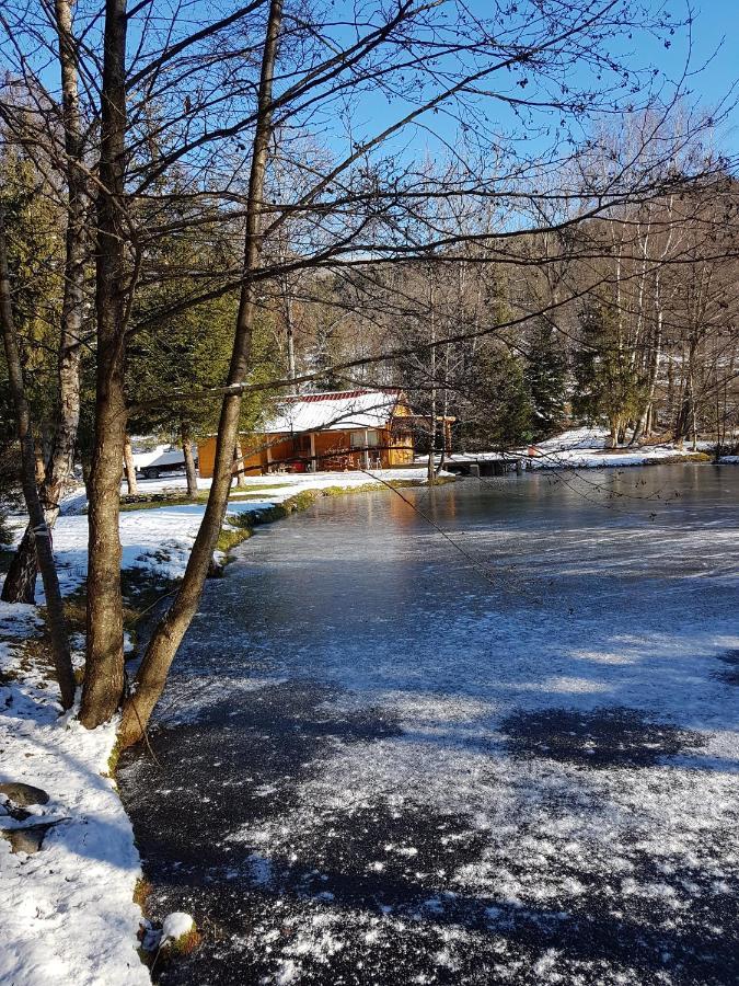 Insolite Chalet De Peche Serenite - Bien Etre Ban-sur-Meurthe-Clefcy Exteriör bild