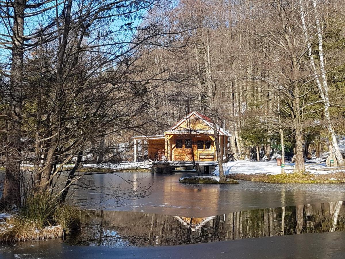 Insolite Chalet De Peche Serenite - Bien Etre Ban-sur-Meurthe-Clefcy Exteriör bild