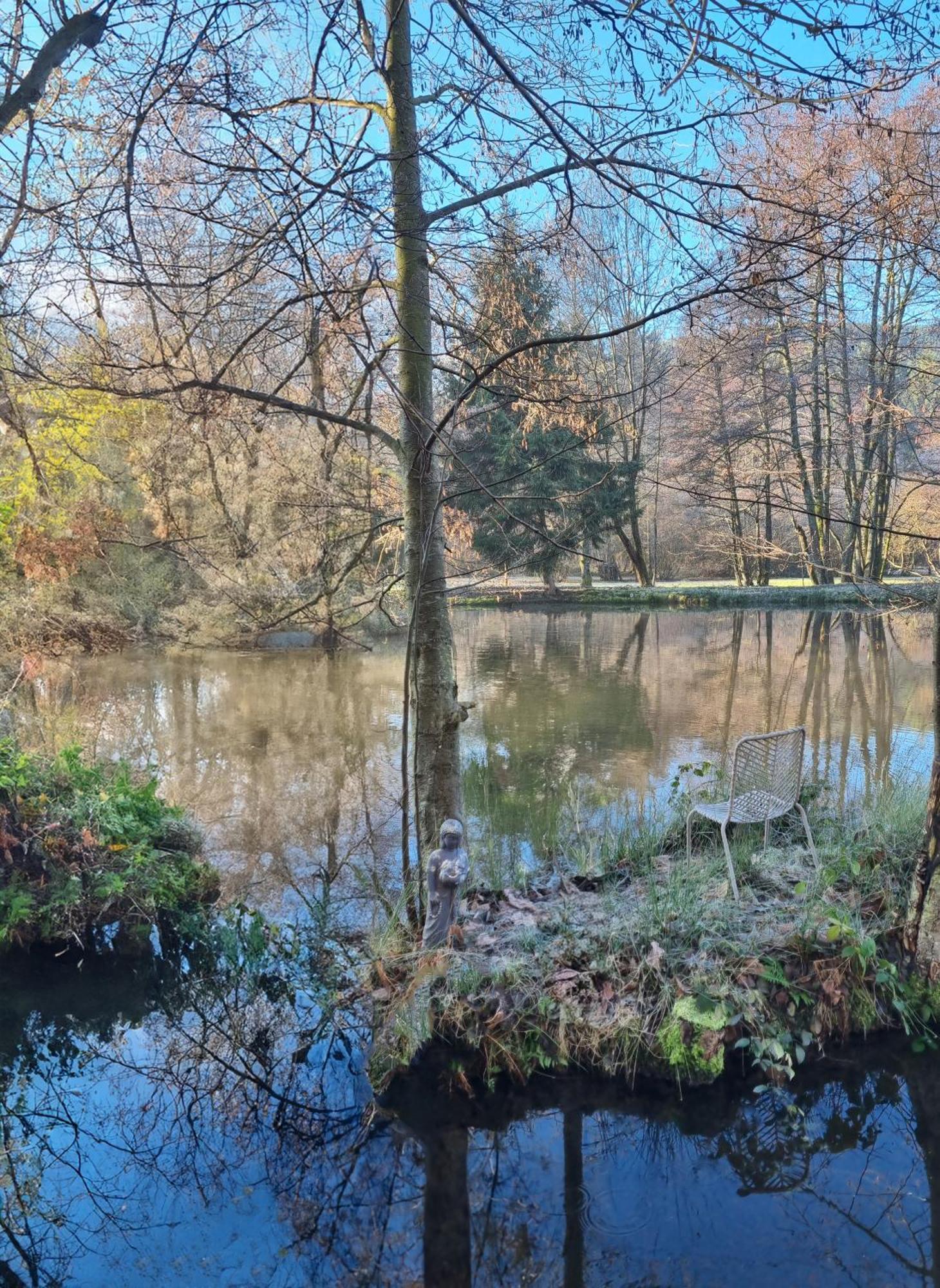 Insolite Chalet De Peche Serenite - Bien Etre Ban-sur-Meurthe-Clefcy Exteriör bild