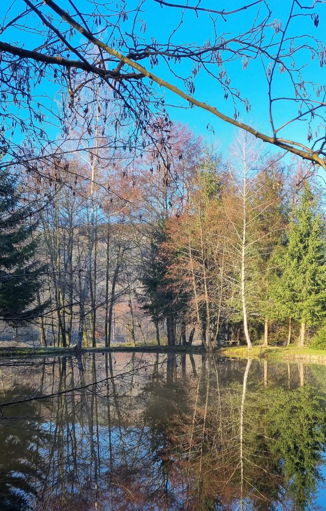 Insolite Chalet De Peche Serenite - Bien Etre Ban-sur-Meurthe-Clefcy Exteriör bild